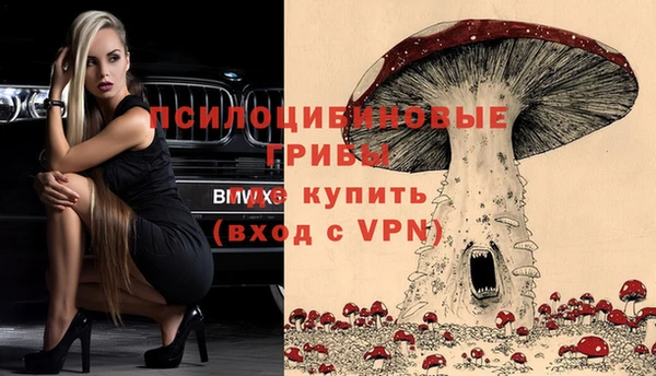 PSILOCYBIN Арсеньев