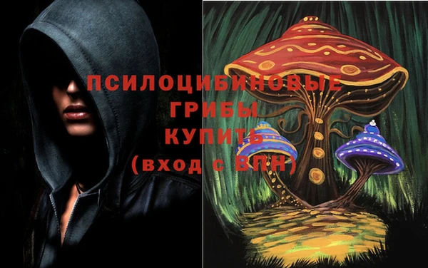 PSILOCYBIN Арсеньев